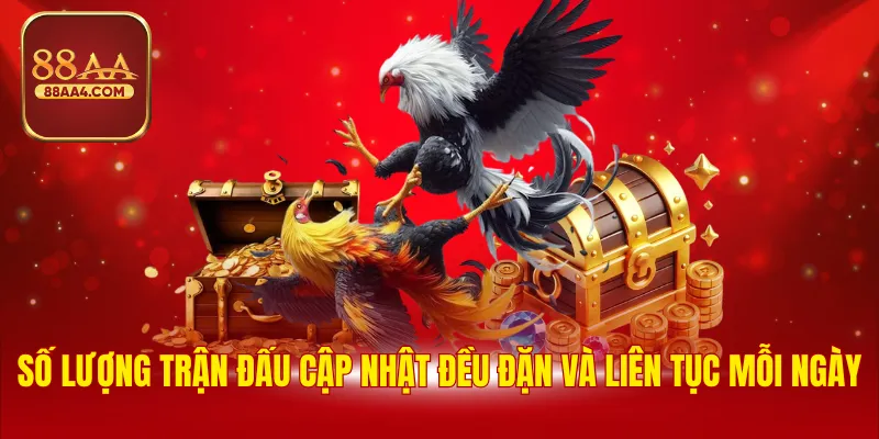 Số lượng trận đấu cập nhật đều đặn và liên tục mỗi ngày